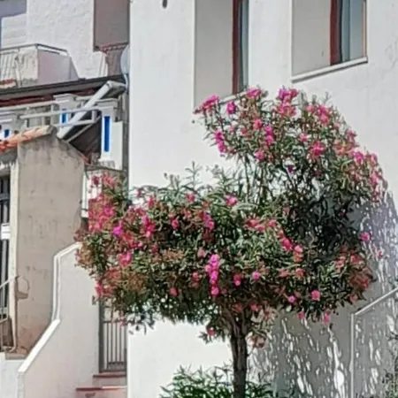 Casa Pina * Cala Gonone